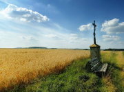 南方水泵軸承一般用的什么油？