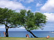 水泵潤滑油有哪些作用？