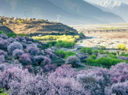 學(xué)習(xí)專業(yè)技術(shù),完成自我超越——南方長(zhǎng)河產(chǎn)品技術(shù)支持培訓(xùn)圓滿完成