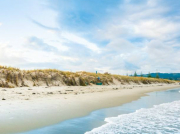 南方泵業(yè):離心泵龍頭